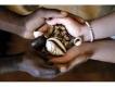 I WANT STRONG WORKING TRADITIONAL SPIRITUAL HEALER LOST LOVE SPELL , VODOO SPELLS +27605775963